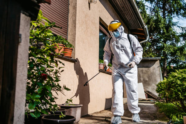 Best Residential Pest Control  in Van Buren, MO