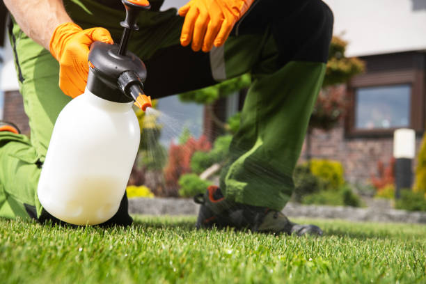 Best Pest Control Near Me  in Van Buren, MO