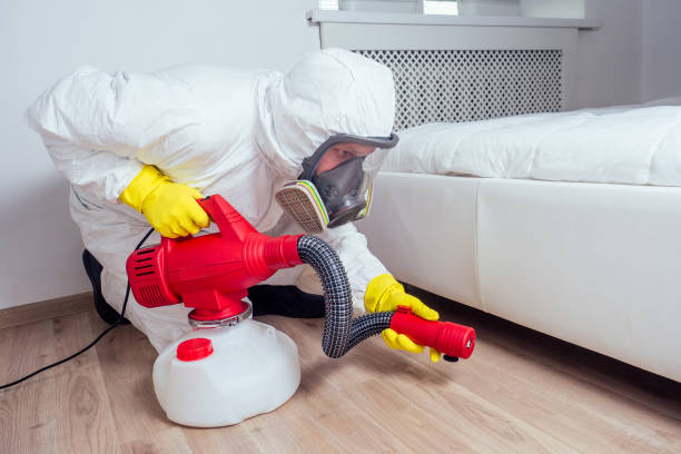 Best Affordable Pest Control Services  in Van Buren, MO