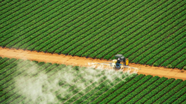 Best Termite Control Services  in Van Buren, MO