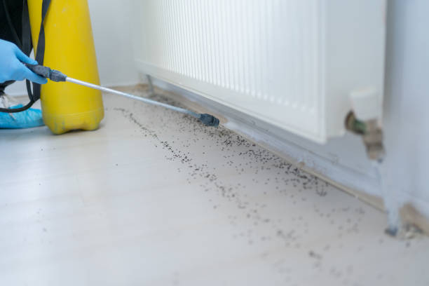 Best Bed Bug Extermination  in Van Buren, MO